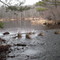 Egypt Meadow Lake