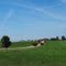somewhere, to Table Rock Lake, MO, USA