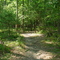 Appalachian Trail at Caledonia State Park