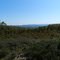 Dark Hollow Vista