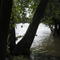 Kankakee River State Park