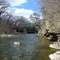 DSC05372n Kankakee State Park