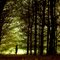 Lost in woods