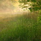 Nescopec Park