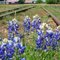 Kingsland, Texas