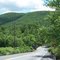 Approach to Hawk Mt, Pa