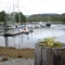 PA Back Dock August 2009