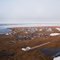 Aerial view of Kaktovik, Alaska.