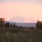 Denali from MP287 Parks Hwy