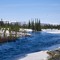 Close to the Arctic Circle