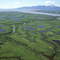 Copper River Delta