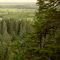 Copper river delta