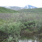 Alaskan Tundra, North of the Arctic Circle
