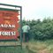 Whimsical Adak National Forest, 1971
