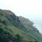 Eagles Above, Sea Otters Below-Adak