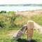 Wilson Lake