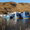Scenic Dutch 11-2006 004