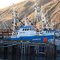 Scenic Dutch 11-2006 001