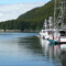Elfin Cove