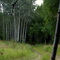 Birtch Hill Rec Area