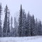 Birchwood Homes, Fairbanks Ak