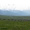 2010-06-30 Dalton Hwy, looking SE.