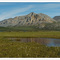Tundra, Galbraith Lake