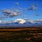 Blick vom Richardson Hwy, 11.9.2010 ... C