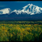 Mt Sanford (Wrangell Mts)