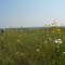 Kansas Prairie