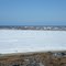 Gambell, St. Lawrence Is., AK, Memorial Day 2010