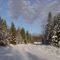 Rink Creek Road