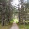 Nagoonberry Loop Trail