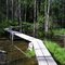 Chilkoot Trail boardwalk