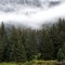 Chilkoot lake, Haines, Alaska