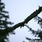 Good take off -Haines, Alaska-