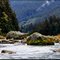 Chilkoot River, 8.9.2010 ... C