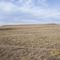 Twin Mound