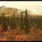 Denali Park