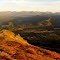 On Mt. Healy