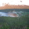 Chignik Bay