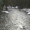 Montana Creek