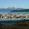 Auk Bay Marina
