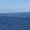 Amak Volcano on the horizon beyond Bechevin Bay
