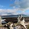 Alaska - Katmai National Park