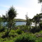 View of Naknek River