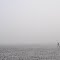 Walking on the mud flats