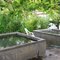 Manley Hot springs