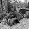 Abandoned Car, Manley Hot Springs, Unorganized Borough, Alaska (2)