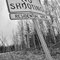 'No Shooting,' Along The Elliot Highway, Unorganized Borough, Alaska